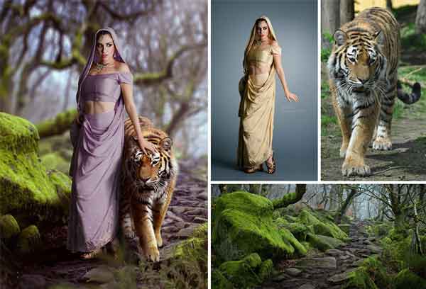 Master Viktoria Membuat Foto Editan Keren Fotografer Gambar Harimau