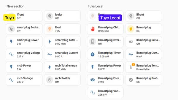 Open Hidden Feature Tuya in Tuya Local