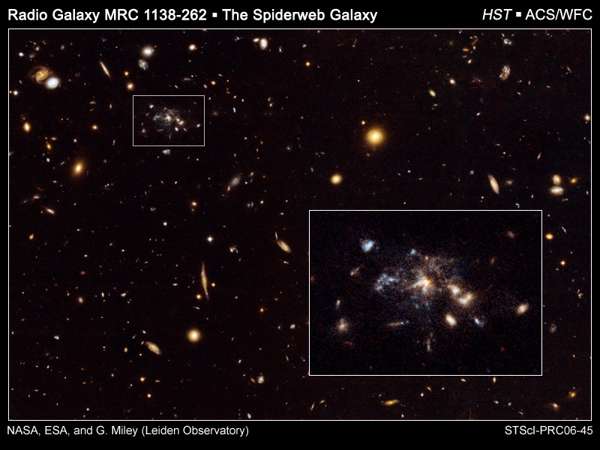 Cluster Galaxy Spiderweb