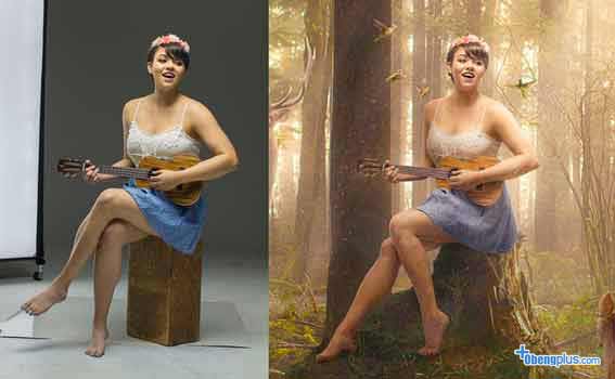 Belajar edit photoshop dengan gambar hutan dan binatang