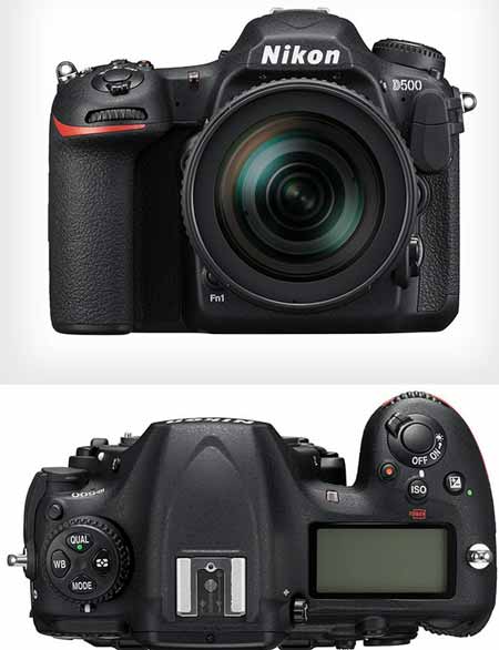 Nikon D500 sensor APS-C