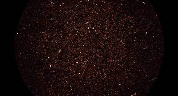Meerkat DEEP2 galaksi yang jauh yang belum pernah terditeksi