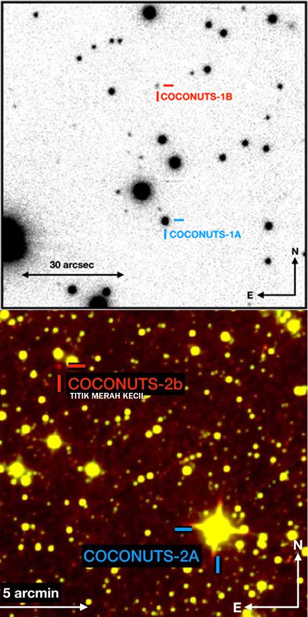 Star Planet Coconat 2b