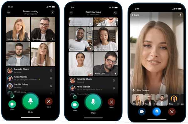 Telegram Mesenger video call